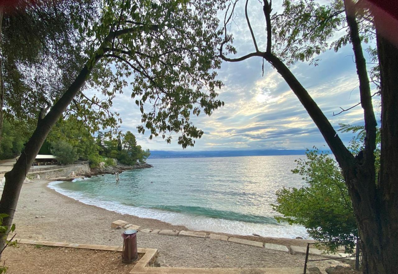 Villa Lovran - 150M To The Beach - Infinity Pool - Incredible Sea View - Fitness Room エクステリア 写真
