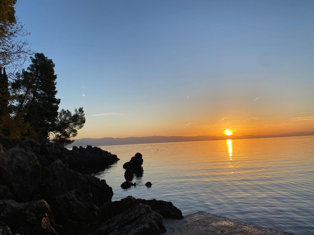 Villa Lovran - 150M To The Beach - Infinity Pool - Incredible Sea View - Fitness Room エクステリア 写真